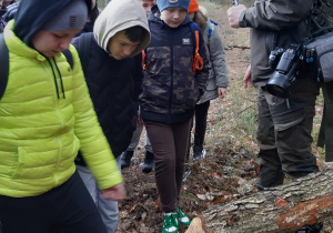 Poznajemy pracę bobrów w lesie