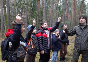Rozpoznawanie podstawowych gatunków drzew