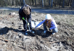 Marysia i Maurycy sadzą młoda brzózkę