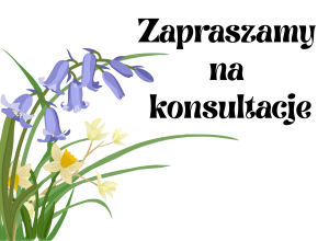 Konsultacje - zapraszamy rodziców