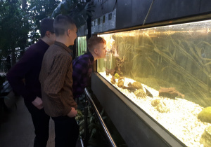 uczniowie kl. VII i VIII przy egzotycznych rybach akwariowych