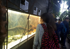 uczennice z klas starszych przy akwarium