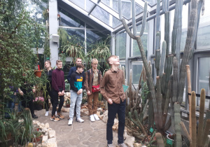 ekspozycja kaktusów