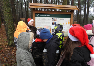 Zapoznanie uczniów z organizmami żyjacymi w lesie