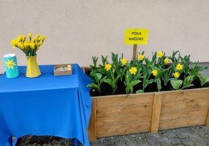 Akcja charytatywna "Pola Nadziei"