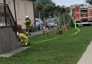 Zdjęcie 11 na 11