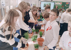 część praktyczna warsztatów - sadzenie roślin