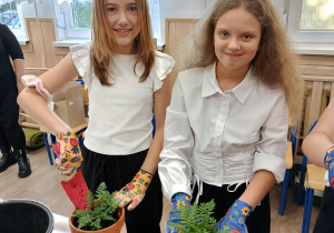 część praktyczna warsztatów - sadzenie roślin