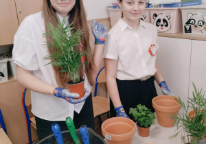 część praktyczna warsztatów - sadzenie roślin