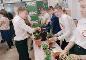 część praktyczna warsztatów - sadzenie roślin