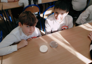 prelekcja o edukacji klimatycznej dla uczniów klas IV - VI