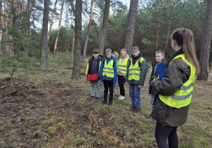 Obserwacja zmian w wyglądzie lasu