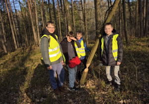 Działalność bobra