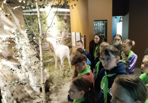 Muzeum Wigierskie