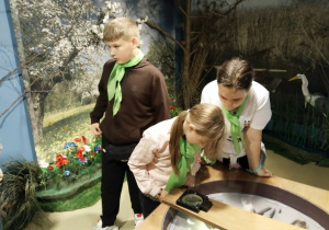 Muzeum Wigier