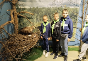 Muzeum Wigier