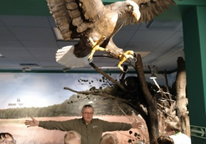 Muzeum Wigier