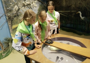 Muzeum Wigier - zajęcia edukacyjne